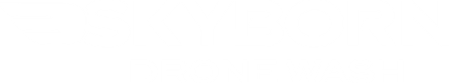 Logo da Skyborn Wash
